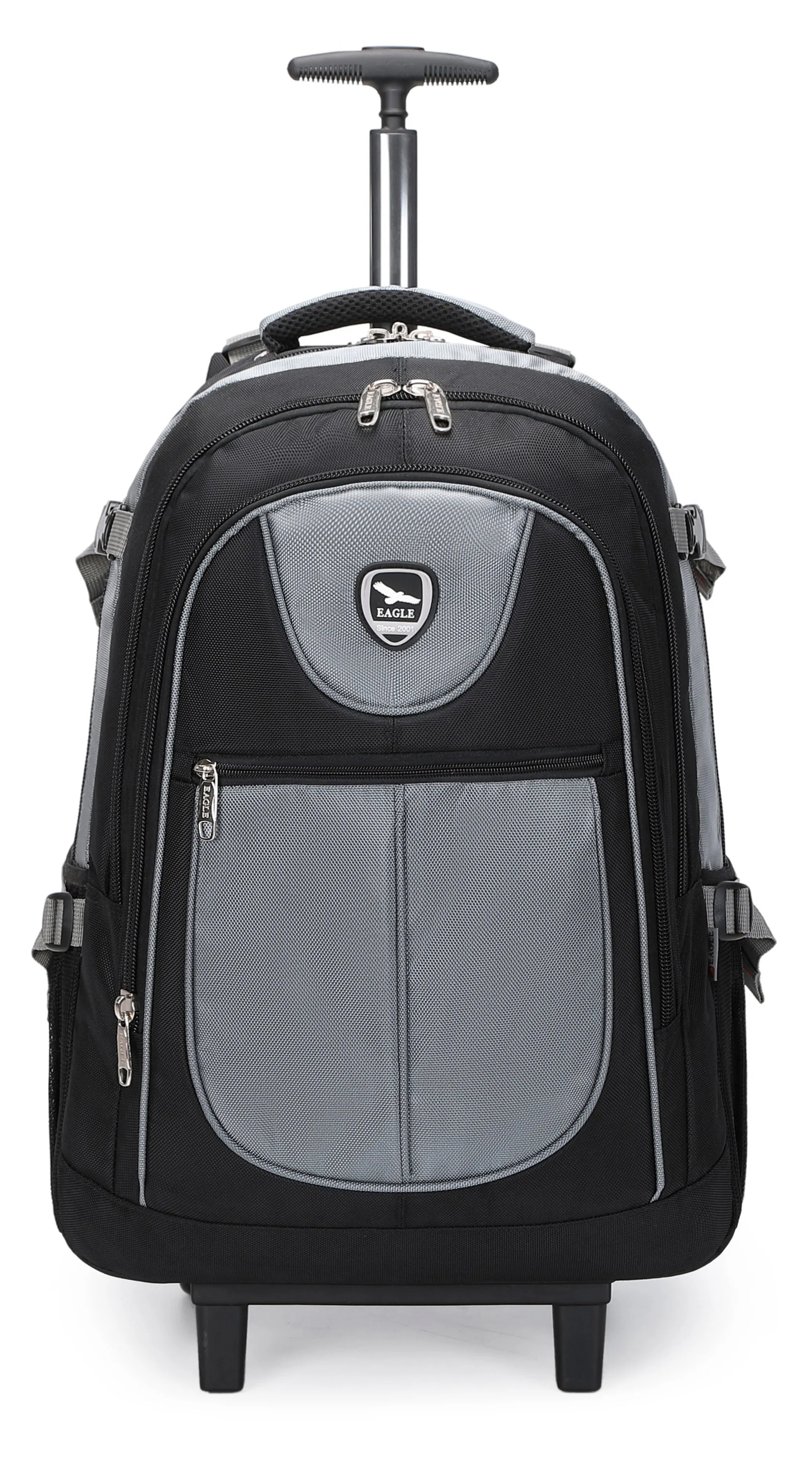 2in1 Laptop Backpack and Luggage with Wheels