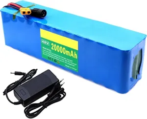 48V 20Ah 13S3P E Bike Lithium Ion Battery Pack Built in BMS Protection,Electric Bicycles Motor with Charger XT60 Plug T