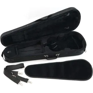 carlo giordano violin case