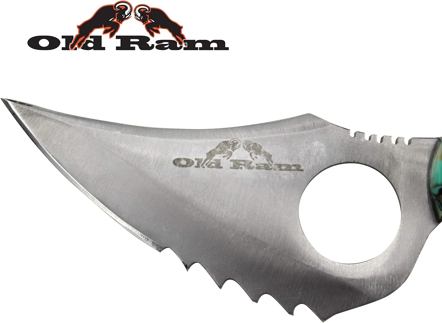 Collection Heavy Duty Sharp Multi-Color Fixed Blade Saw Back Skinner Knife w/Sheath
