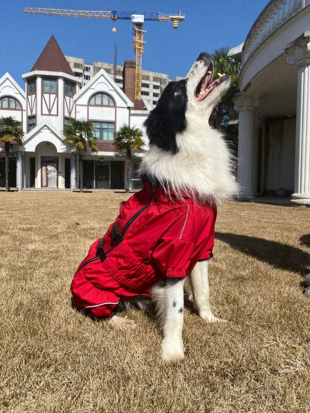 Dogs Waterproof Jacket, Lightweight Waterproof Jacket Reflective Safety Dog Raincoat Windproof Snow-Proof Dog Vest for Small Medium Large Dogs Red 4XL