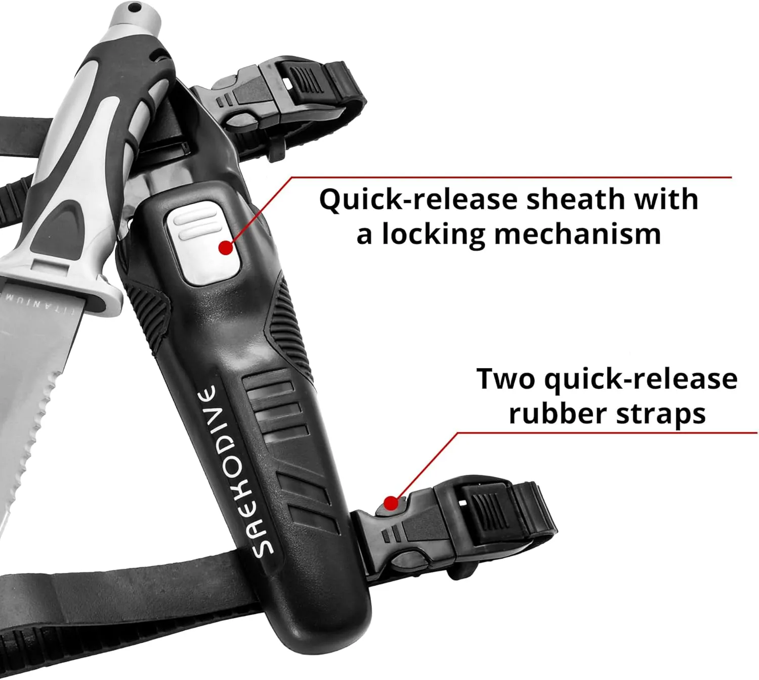 Edge Series Dive Knife - Scuba Diving Knife with Knife Holster, Sheath and Leg Strap - Scuba Knife, Saltwater Knife, Spearfishing Knife (Titanium, Large)