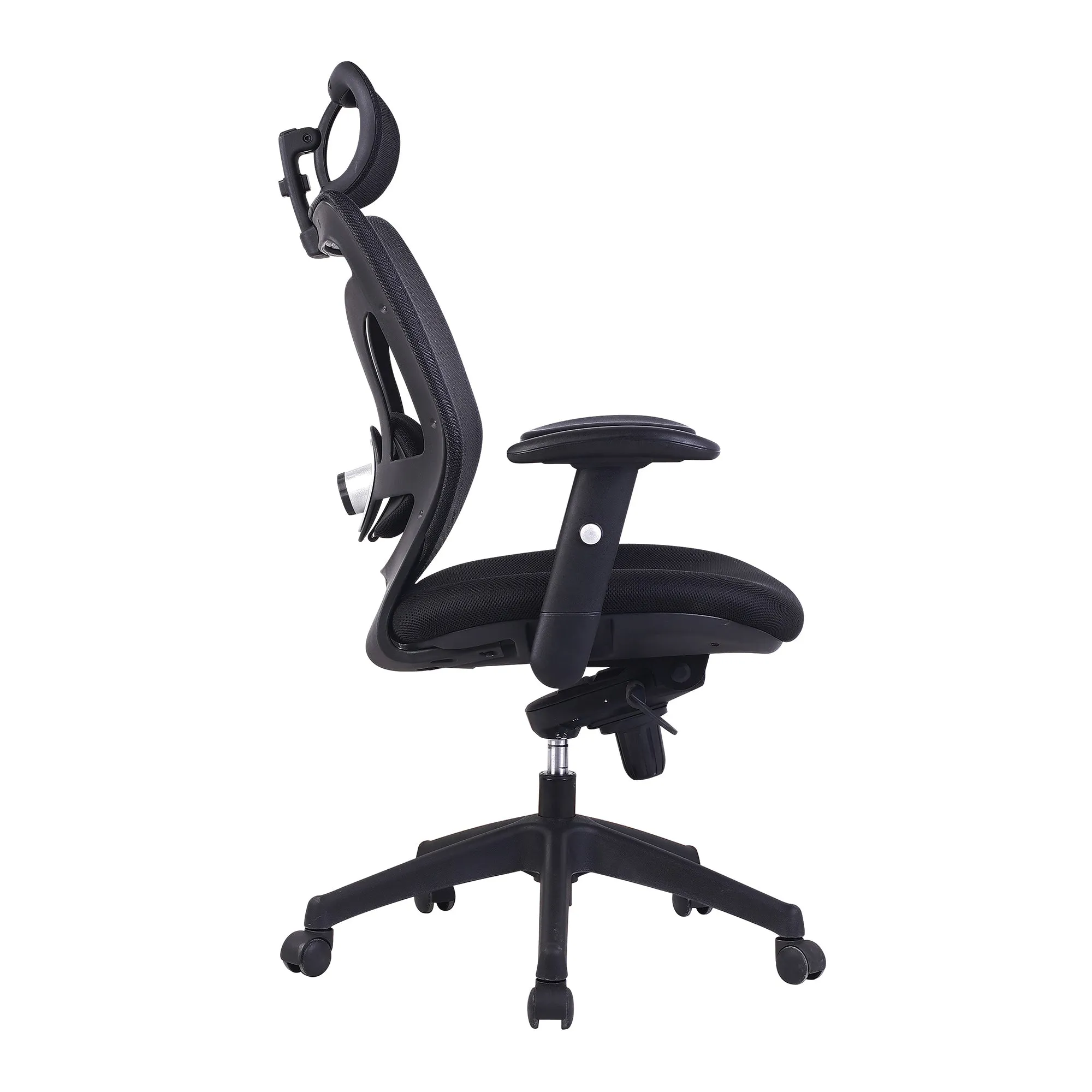 Expert help Newton Lightweight Executive Desk Chair