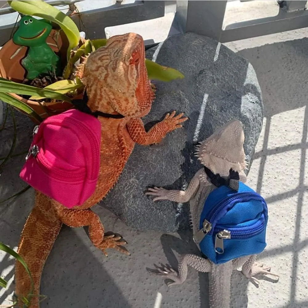 HAICHEN TEC Lizard Backpack for Bearded Dragons School Bag & Books Set Reptile Apparel Accessories Handmade Photo Party Back to School Supplies for Lizard Bearded Dragon Crested Gecko Chameleon