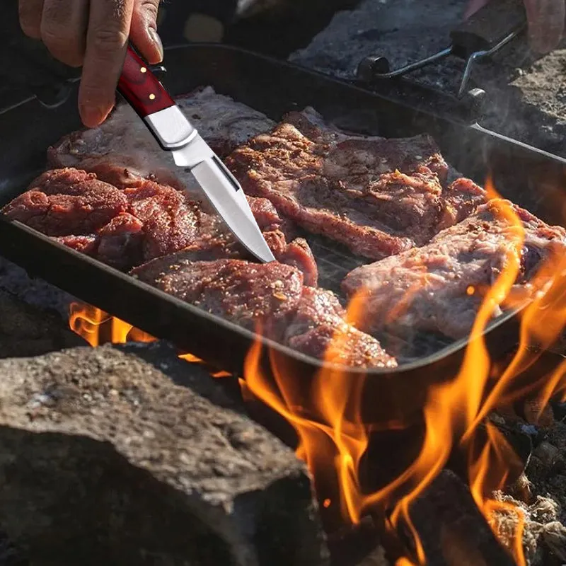 🔥🎅Hot Sale🎁Outdoor Stainless Steel Pocket Knife