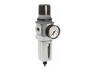 P32EB93EGMBNGP Series P32EB Aluminum Compact Filter/Regulator with Round Gauge, 5 µ Element, 8 bar/125 psig/0.8 MPa Range, Plastic Panel Mount Nut, 3/8" NPT Port