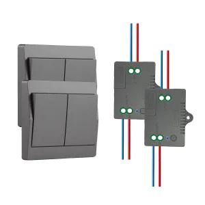 Self-Powered Wireless Light Switch (No Battery),Remote Control with 328ft Range,Kinetic Remote Wall Control Receiver Kit,Suitable for LED Lights, Ceiling Lighting Equipment,Fans