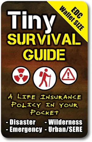 Tiny Survival Guide: A Life Insurance Policy in Your Pocket - The Ultimate “Survive Anything” Everyday Carry: Emergency, Disaster Preparedness Micro-Guide