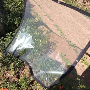 ZHANGQINGXIU Transparent Tarps Tarpaulin with Eyelets Waterproof Heavy Duty Weatherproof Winter Antifreeze Thicken PVC Soft Film Ripstop, 41 Sizes (Color : Clear, Size : 1.4x1.8m)